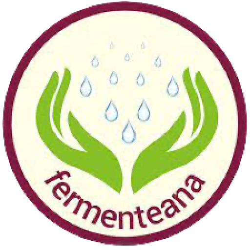 Fermenteana - Kombucha